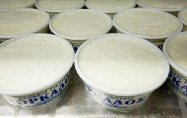 giaourti_dorkadas_01